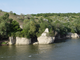 Natural banks still characterize many parts of the Danube